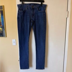 PATAGONIA jeans - size 31 - EUC